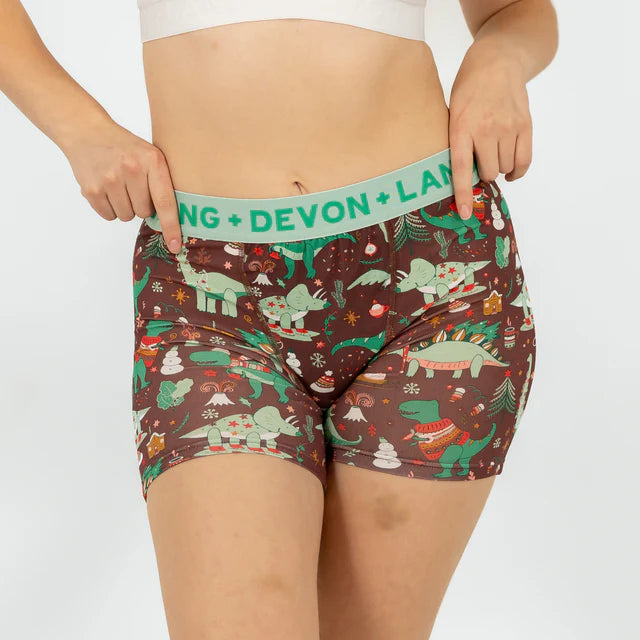 Bria Boxer Brief - Chilly Dinos