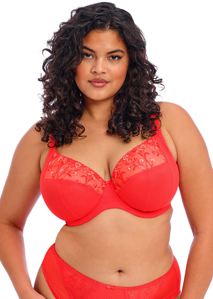 Charley Plunge Underwire Bra - Salsa