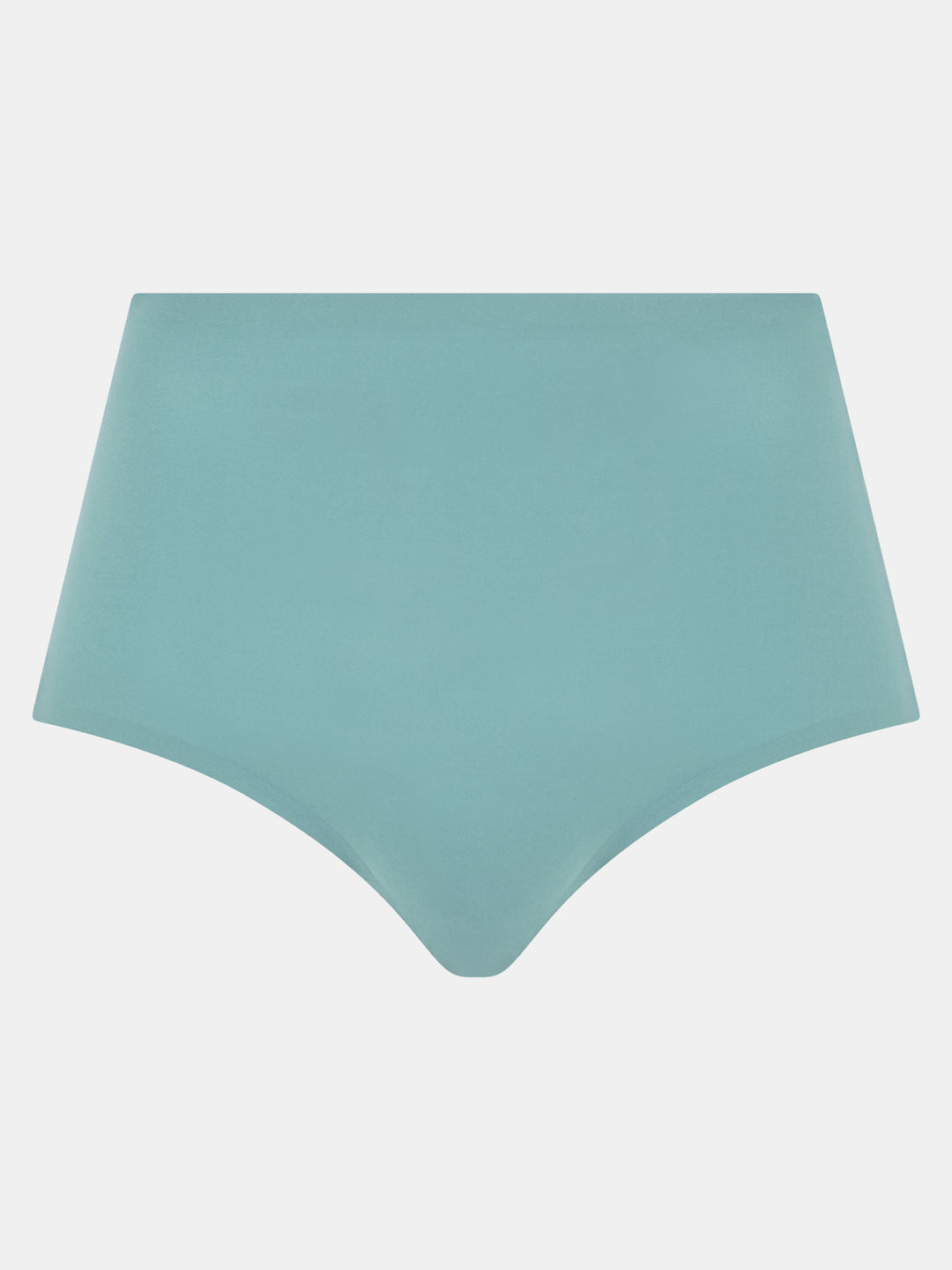 Soft Stretch Full Brief - Plus Size