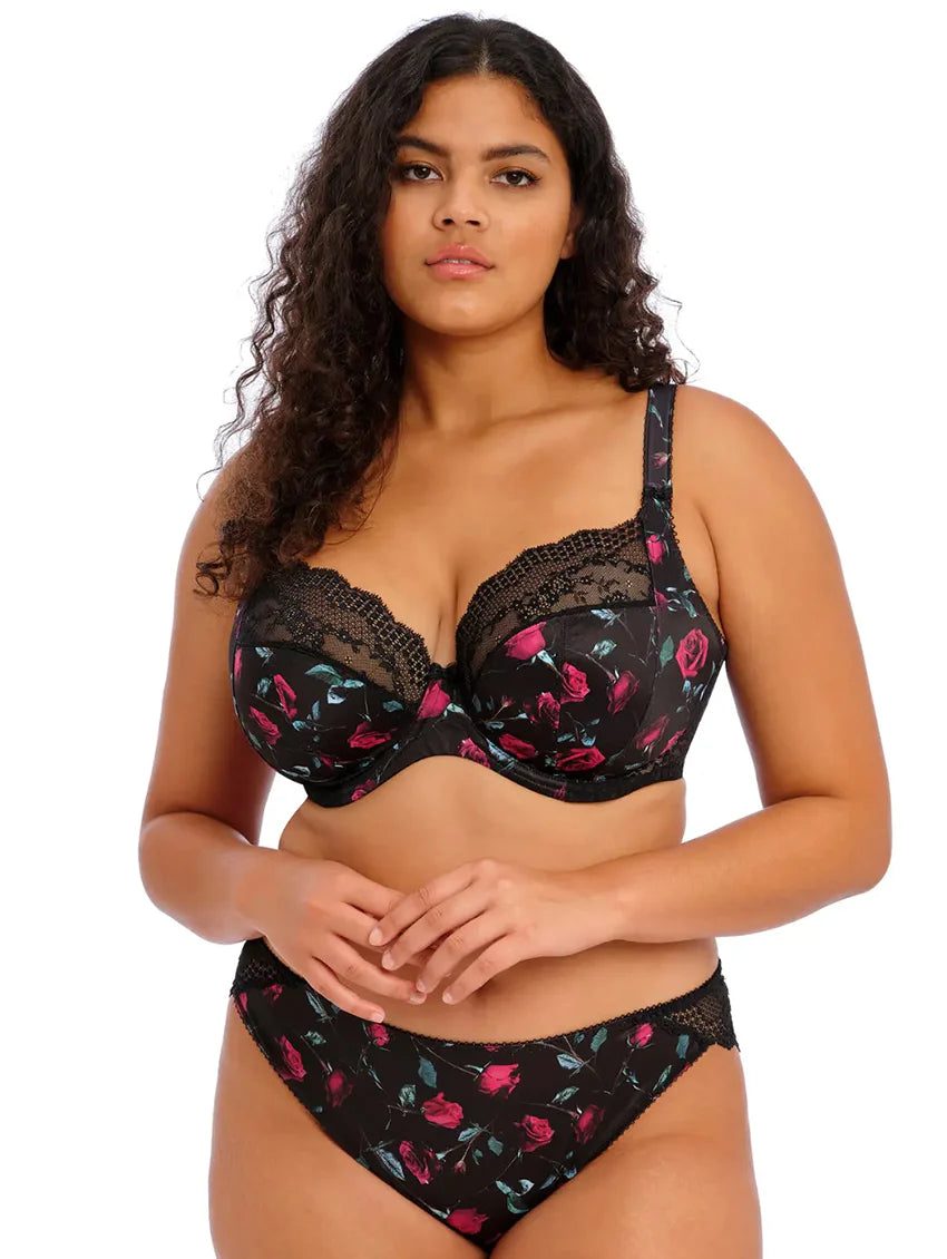 Elomi Sachi Butterfly Full Brief – Sheer Essentials Lingerie