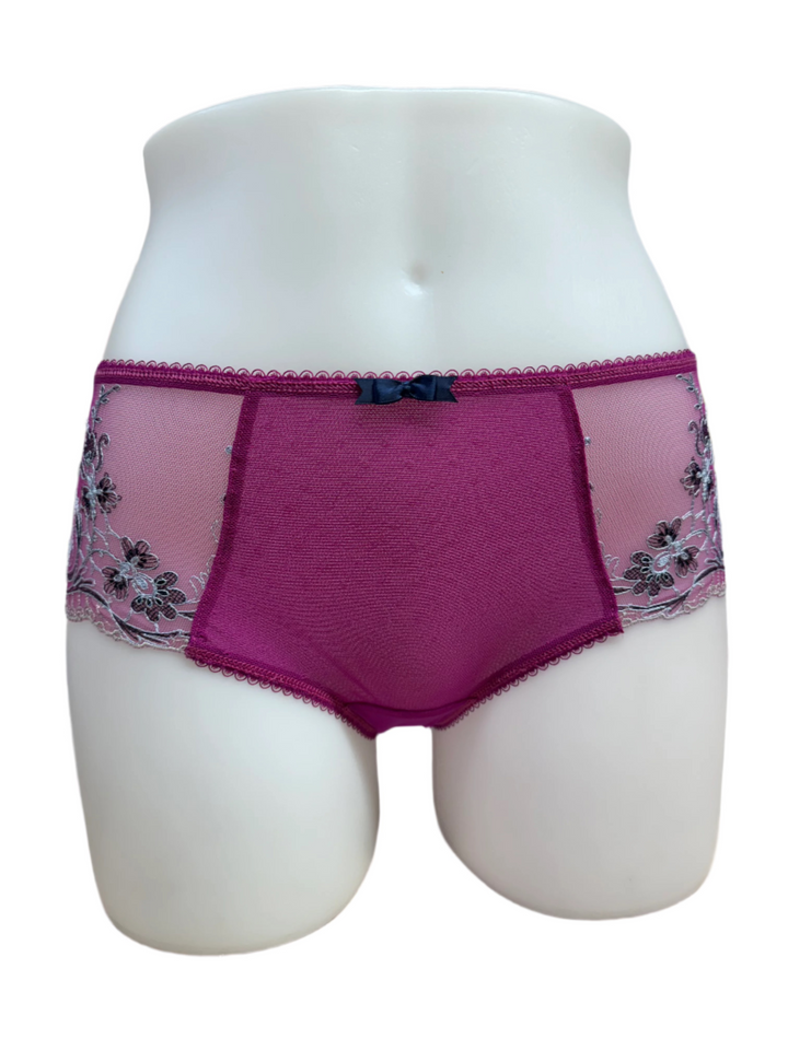 Fantasie Cheeky Mesh Brief - Size Small